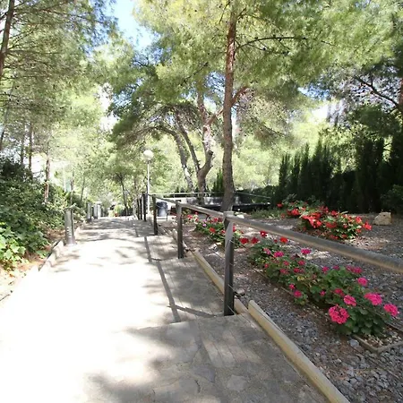 Rincon De Loix בנידורם